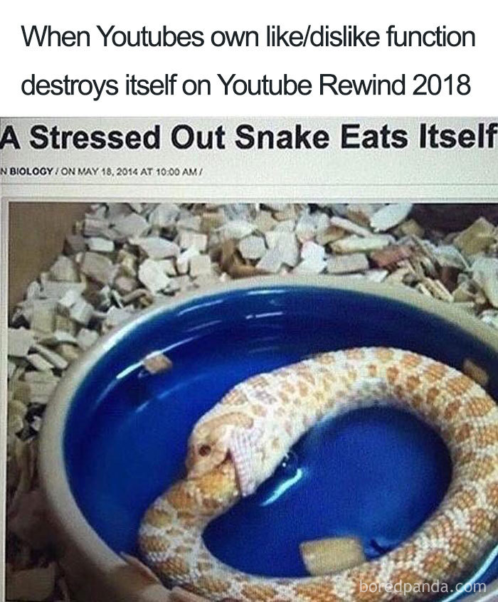 Youtube-Rewind-2018-Most-Disliked-Video-Reactions