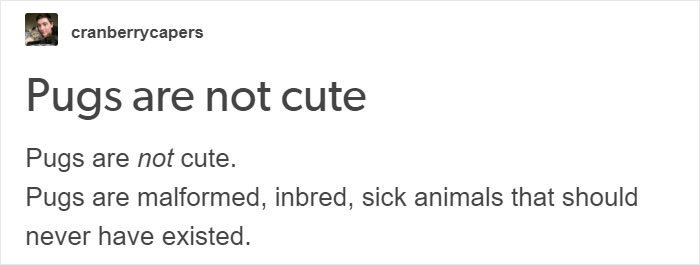 “Pugs Are Not Cute, [They’re] Malformed, Sick Animals That Shouldn’t Exist”: This Tumblr Thread May Change The Way You See Pugs
