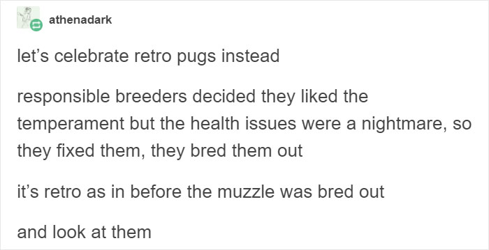 “Pugs Are Not Cute, [They’re] Malformed, Sick Animals That Shouldn’t Exist”: This Tumblr Thread May Change The Way You See Pugs