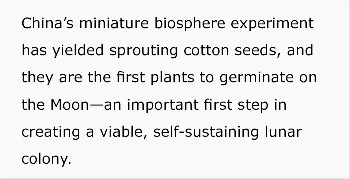 China Grows Moon's First Plant, Makes History China Grows Moon's First Plant, Makes History