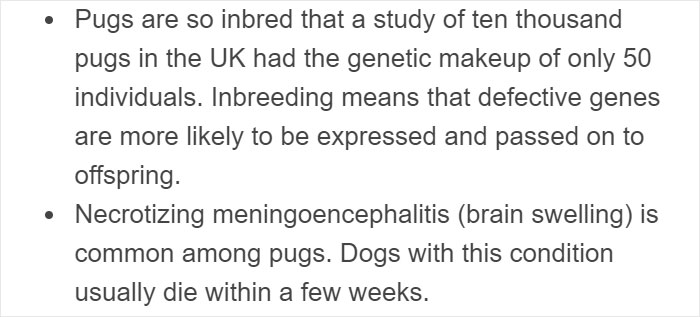 “Pugs Are Not Cute, [They’re] Malformed, Sick Animals That Shouldn’t Exist”: This Tumblr Thread May Change The Way You See Pugs