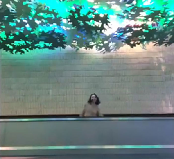 This Woman's Flight Was Canceled For 4 Hours, So She Decided To Entertain Herself By Dancing In An Airport With A Cat This Woman's Flight Was Canceled For 4 Hours, So She Decided To Entertain Herself By Dancing In An Airport With A Cat
