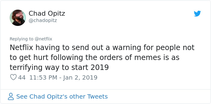 Netflix Warns People To Stop Doing The 'Bird Box Challenge', But Not Everyone Listens Netflix Warns People To Stop Doing The 'Bird Box Challenge', But Not Everyone Listens