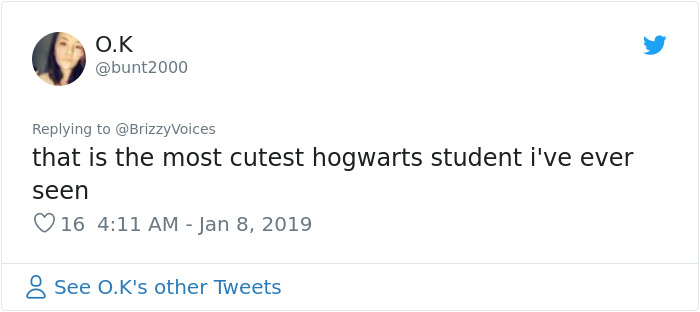 This Dog Was Trained To Respond To Harry Potter Spells And He's Probably The Cutest Hogwarts Student Ever This Dog Was Trained To Respond To Harry Potter Spells And He's Probably The Cutest Hogwarts Student Ever