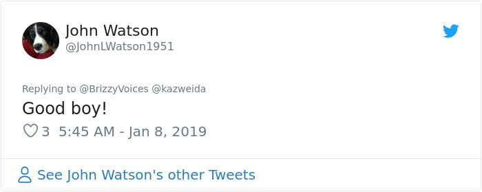 This Dog Was Trained To Respond To Harry Potter Spells And He's Probably The Cutest Hogwarts Student Ever This Dog Was Trained To Respond To Harry Potter Spells And He's Probably The Cutest Hogwarts Student Ever