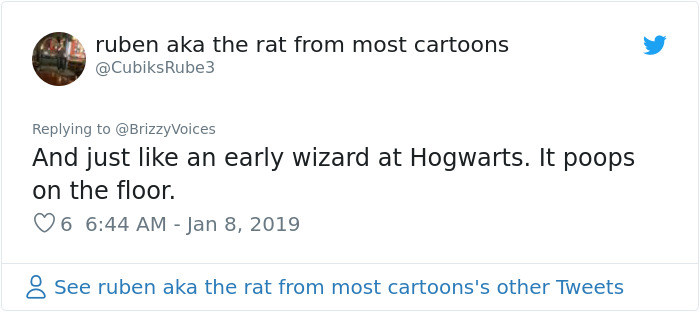 This Dog Was Trained To Respond To Harry Potter Spells And He's Probably The Cutest Hogwarts Student Ever This Dog Was Trained To Respond To Harry Potter Spells And He's Probably The Cutest Hogwarts Student Ever