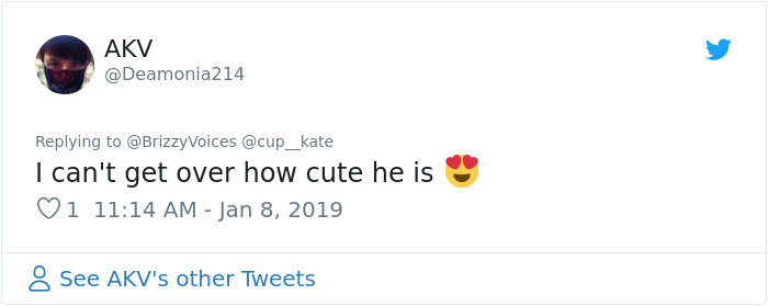 This Dog Was Trained To Respond To Harry Potter Spells And He's Probably The Cutest Hogwarts Student Ever This Dog Was Trained To Respond To Harry Potter Spells And He's Probably The Cutest Hogwarts Student Ever