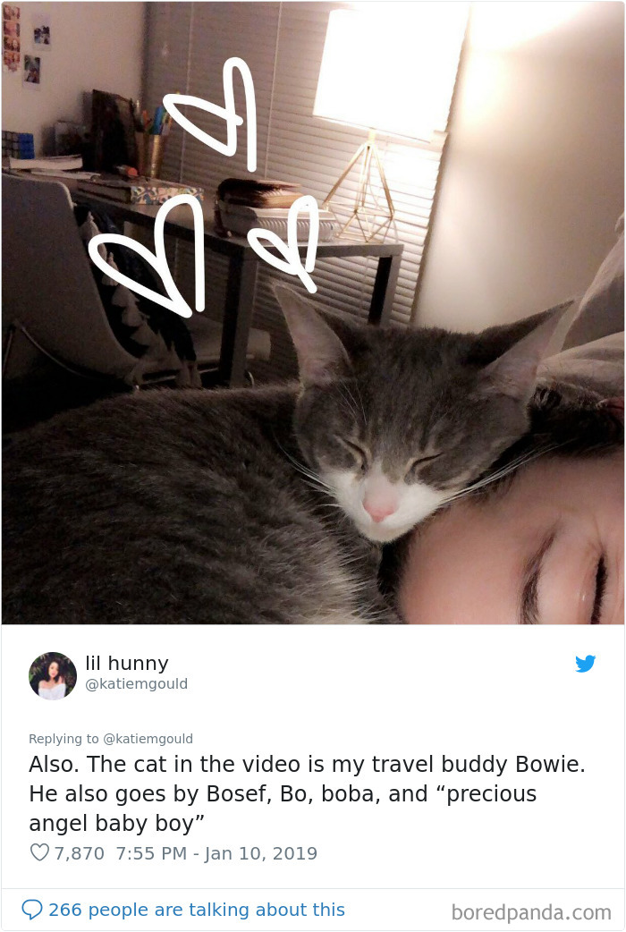 This Woman's Flight Was Canceled For 4 Hours, So She Decided To Entertain Herself By Dancing In An Airport With A Cat This Woman's Flight Was Canceled For 4 Hours, So She Decided To Entertain Herself By Dancing In An Airport With A Cat