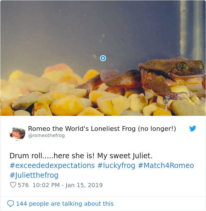 World's Loneliest Frog Has Found A Match After 10 Years, And They Might Be Saving Their Species