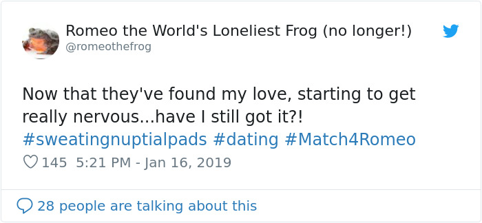 World's Loneliest Frog Has Found A Match After 10 Years, And They Might Be Saving Their Species World's Loneliest Frog Has Found A Match After 10 Years, And They Might Be Saving Their Species