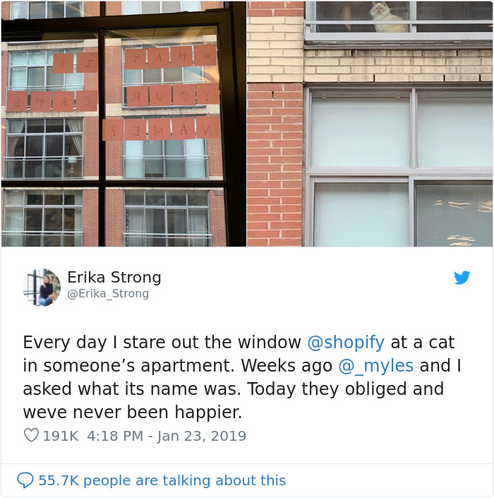 The Conversation This Woman Had With A Cat Next Door Is Going Viral And It’s Too Cute The Conversation This Woman Had With A Cat Next Door Is Going Viral And It’s Too Cute