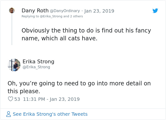 The Conversation This Woman Had With A Cat Next Door Is Going Viral And It’s Too Cute The Conversation This Woman Had With A Cat Next Door Is Going Viral And It’s Too Cute