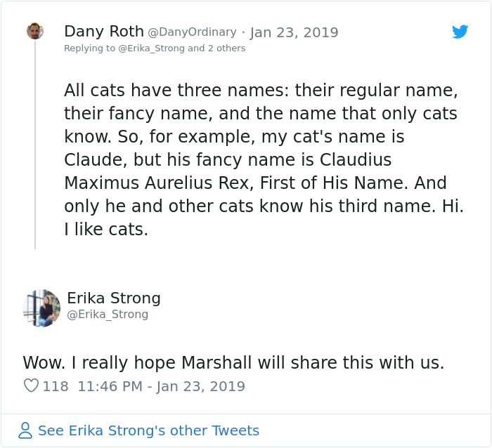 The Conversation This Woman Had With A Cat Next Door Is Going Viral And It’s Too Cute The Conversation This Woman Had With A Cat Next Door Is Going Viral And It’s Too Cute