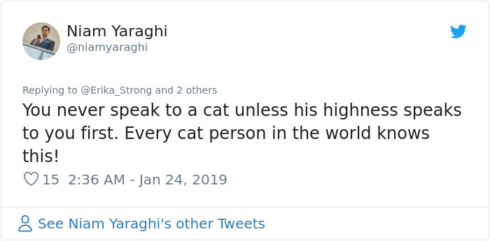 The Conversation This Woman Had With A Cat Next Door Is Going Viral And It’s Too Cute The Conversation This Woman Had With A Cat Next Door Is Going Viral And It’s Too Cute