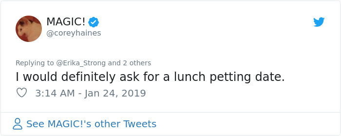 The Conversation This Woman Had With A Cat Next Door Is Going Viral And It’s Too Cute The Conversation This Woman Had With A Cat Next Door Is Going Viral And It’s Too Cute