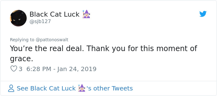 Patton Oswalt Gets Attacked By Troll On Twitter, Turns His Life Upside Down After Seeing His Timeline