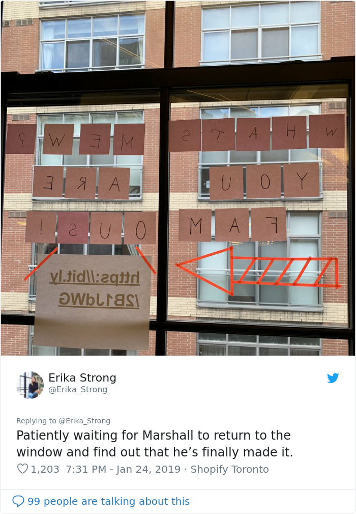 The Conversation This Woman Had With A Cat Next Door Is Going Viral And It’s Too Cute The Conversation This Woman Had With A Cat Next Door Is Going Viral And It’s Too Cute