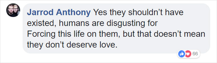 “Pugs Are Not Cute, [They’re] Malformed, Sick Animals That Shouldn’t Exist”: This Tumblr Thread May Change The Way You See Pugs