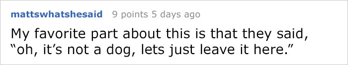 Someone Calls Police About A Dead Dog, Dies From Laughter After They Write Back Someone Calls Police About A Dead Dog, Dies From Laughter After They Write Back