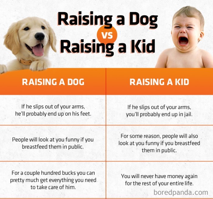 Funny-Pets-Over-Kids-Memes