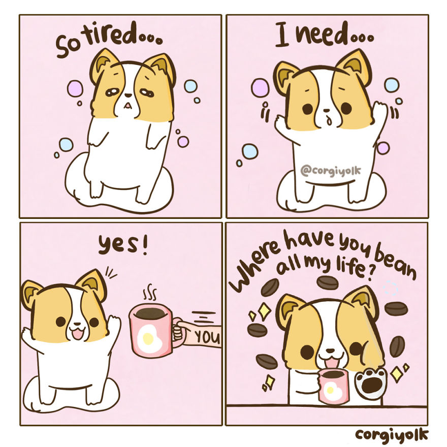 Where Have You Bean All My Life