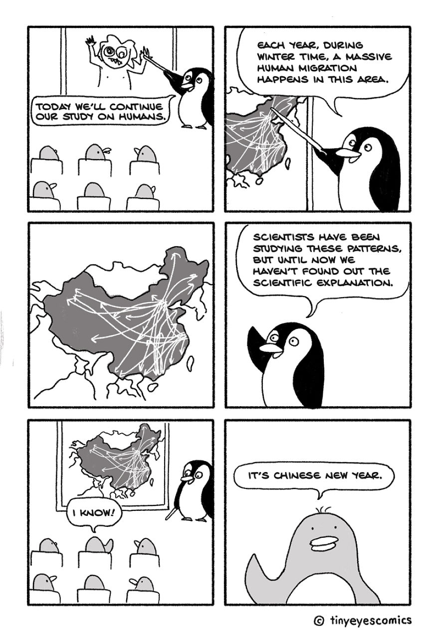36 Comics About The Life Of A Chinese Girl Who Lives Between Cultures (Part2)