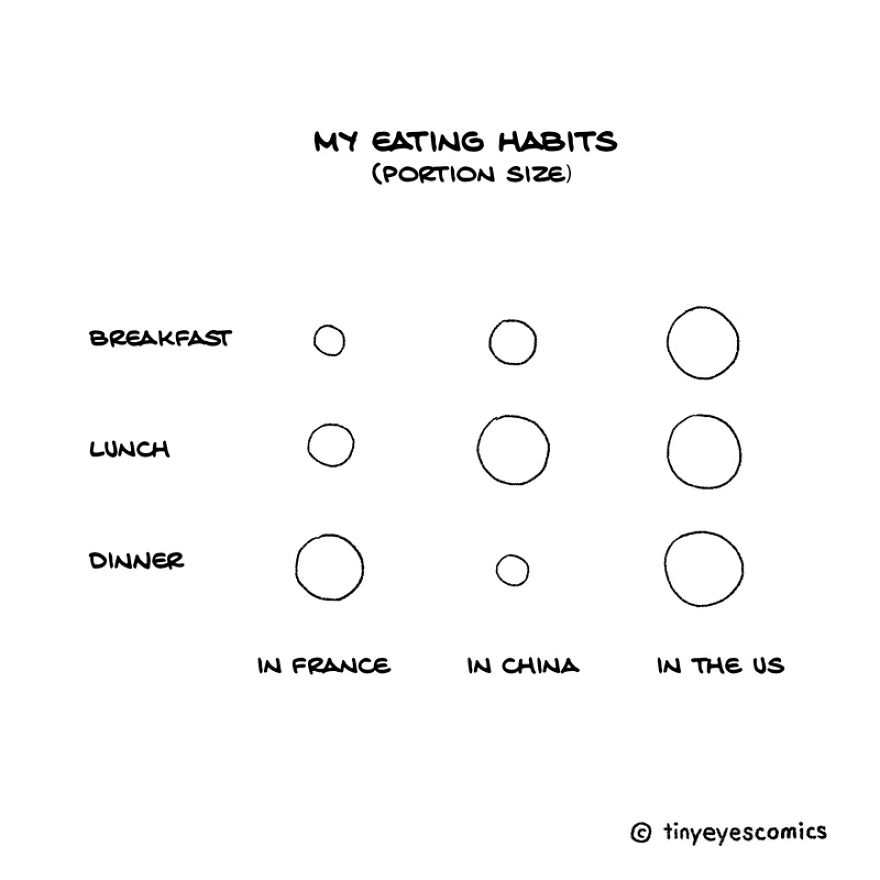 36 Comics About The Life Of A Chinese Girl Who Lives Between Cultures (Part2)