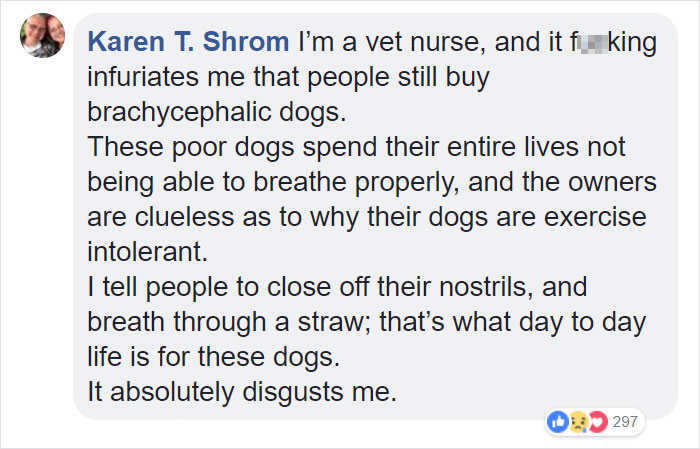 “Pugs Are Not Cute, [They’re] Malformed, Sick Animals That Shouldn’t Exist”: This Tumblr Thread May Change The Way You See Pugs