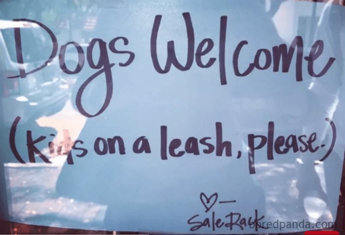 Funny-Pets-Over-Kids-Memes