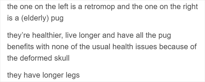 “Pugs Are Not Cute, [They’re] Malformed, Sick Animals That Shouldn’t Exist”: This Tumblr Thread May Change The Way You See Pugs