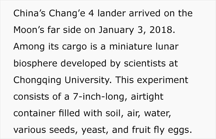 China Grows Moon's First Plant, Makes History
