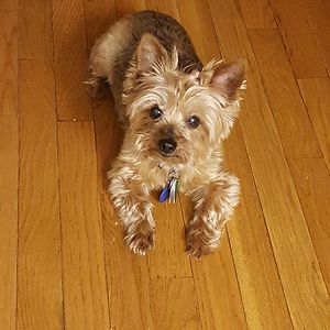 melanie_chaffin avatar