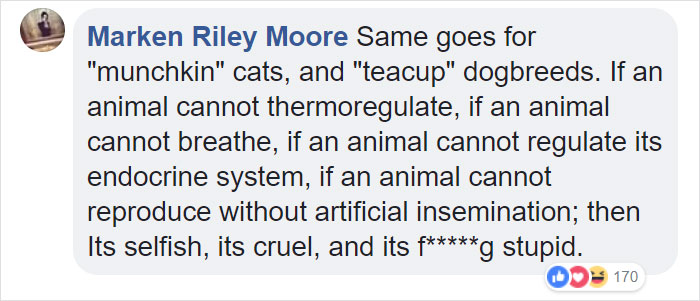 “Pugs Are Not Cute, [They’re] Malformed, Sick Animals That Shouldn’t Exist”: This Tumblr Thread May Change The Way You See Pugs