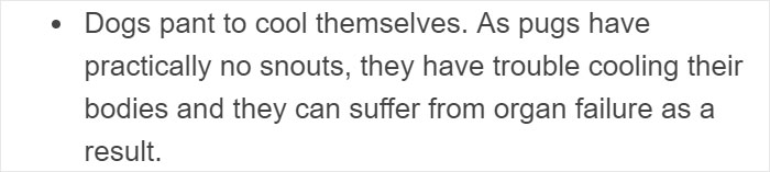 “Pugs Are Not Cute, [They’re] Malformed, Sick Animals That Shouldn’t Exist”: This Tumblr Thread May Change The Way You See Pugs