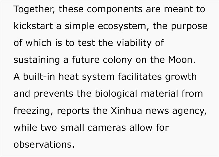 China Grows Moon's First Plant, Makes History China Grows Moon's First Plant, Makes History