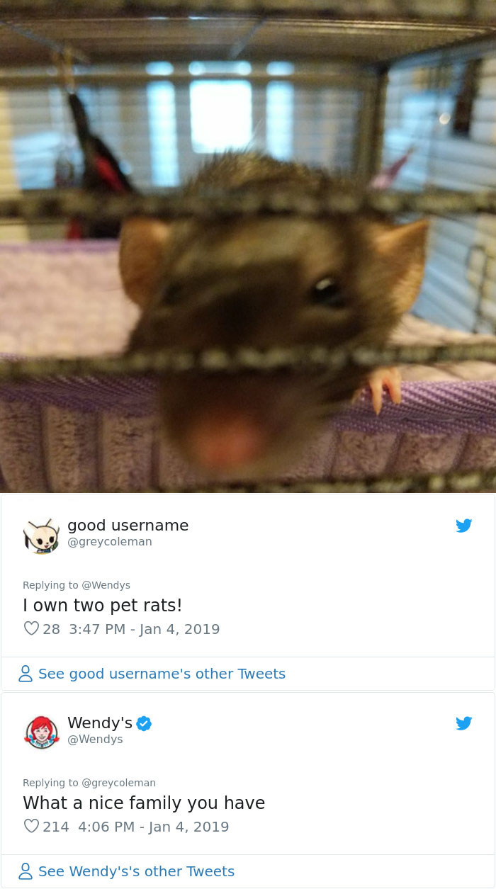 National-Roast-Day-Wendys-Best-Twitter-Comebacks