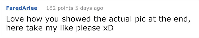 Someone Calls Police About A Dead Dog, Dies From Laughter After They Write Back