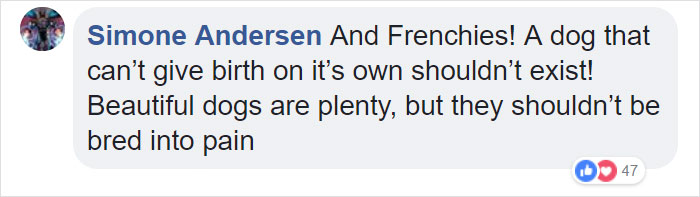 “Pugs Are Not Cute, [They’re] Malformed, Sick Animals That Shouldn’t Exist”: This Tumblr Thread May Change The Way You See Pugs