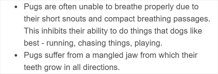 “Pugs Are Not Cute, [They’re] Malformed, Sick Animals That Shouldn’t Exist”: This Tumblr Thread May Change The Way You See Pugs