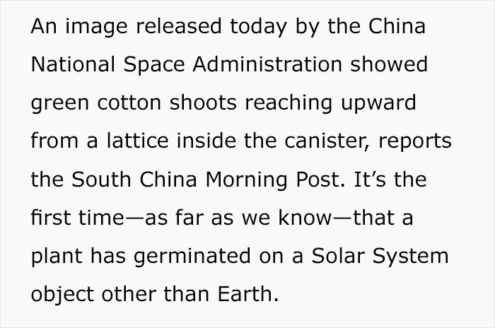 China Grows Moon's First Plant, Makes History China Grows Moon's First Plant, Makes History