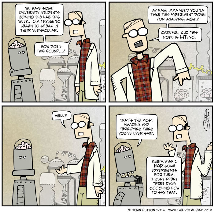 Spectacular Vernacular