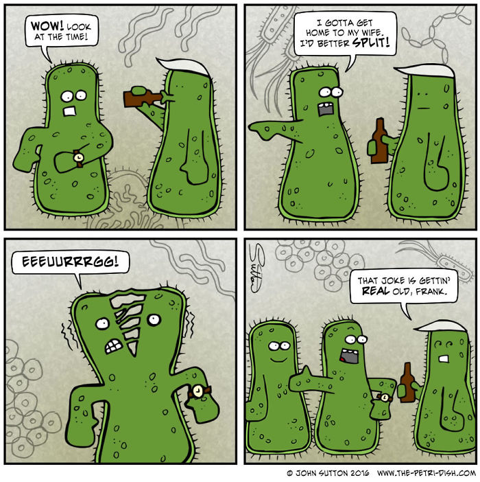 The Lowest Form Of Humour