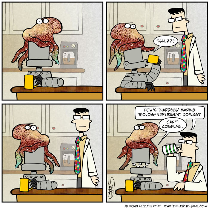 This Spot Is Octopied