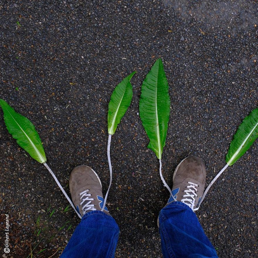 Daily Objects Come To Life In The Art Of Gilbert Legrand