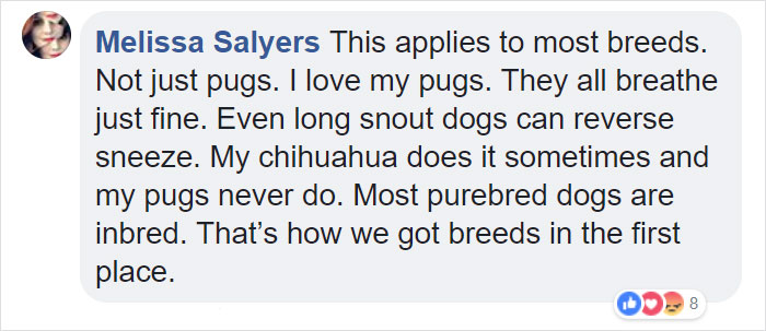 “Pugs Are Not Cute, [They’re] Malformed, Sick Animals That Shouldn’t Exist”: This Tumblr Thread May Change The Way You See Pugs