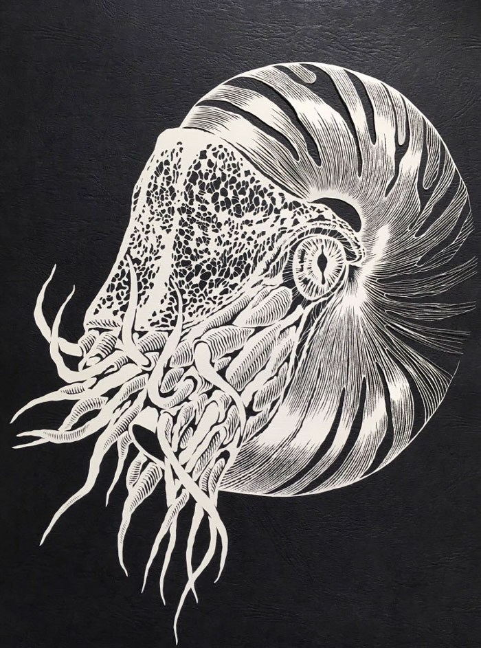 Japanese Artist Hand-Cuts Octopus From A Single Sheet Of Paper, And It&rsquo;s Even More Impressive From Up Close
