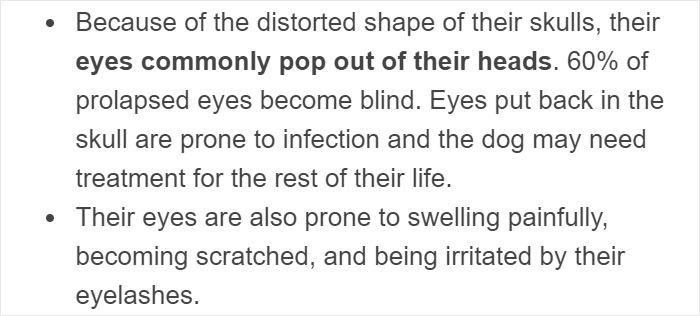 “Pugs Are Not Cute, [They’re] Malformed, Sick Animals That Shouldn’t Exist”: This Tumblr Thread May Change The Way You See Pugs