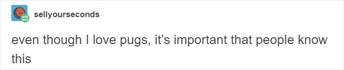 “Pugs Are Not Cute, [They’re] Malformed, Sick Animals That Shouldn’t Exist”: This Tumblr Thread May Change The Way You See Pugs