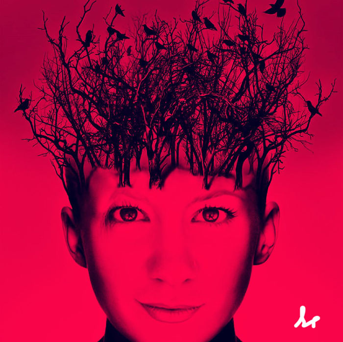 Living With A Concussion Living With A Concussion