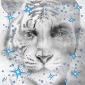 jordanmj_davis avatar